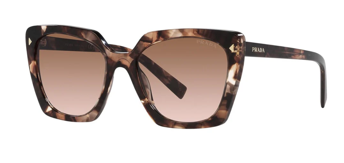Caramel Tortoise