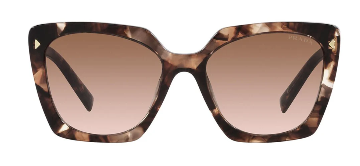 Caramel Tortoise