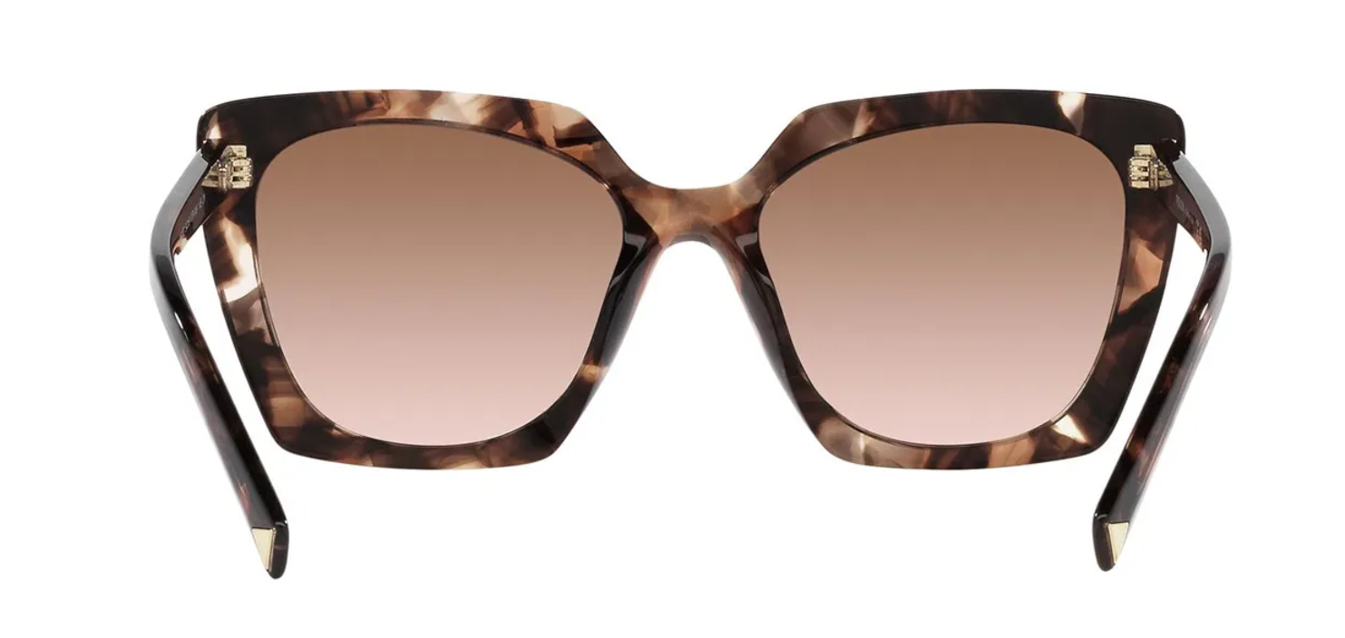 Caramel Tortoise
