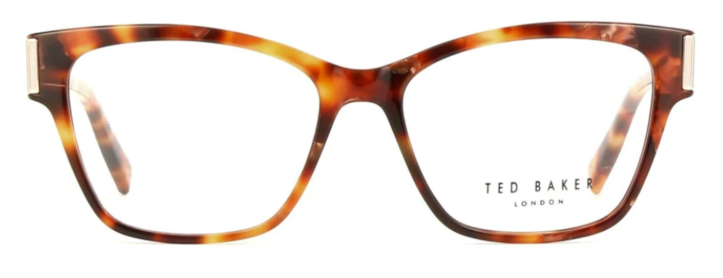 Brown Tortoise